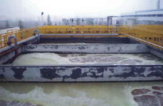 食品厂废水处理