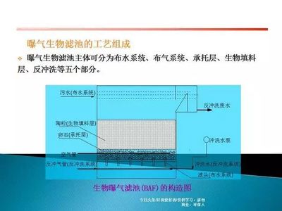 污水处理工程设计与关键技术全景解析 从工艺到设备的专业指南